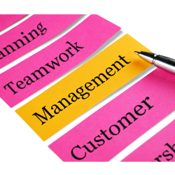 Management