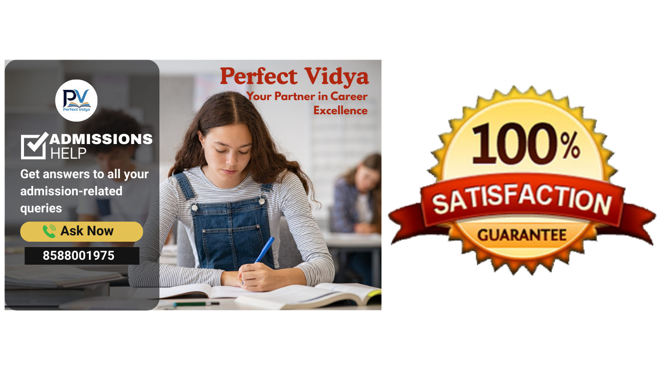 Perfect Vidya